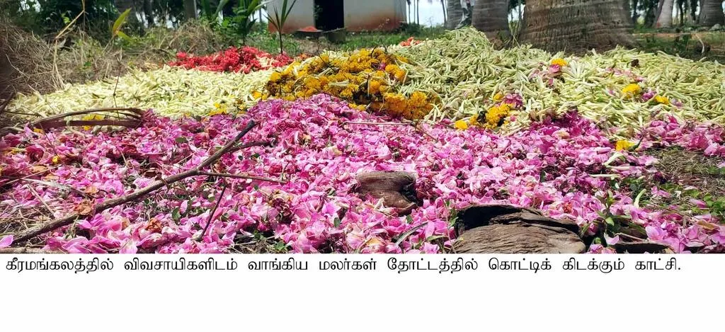 Flowers that go to the trash ... Merchants who stop buying ... Farmers in tears !!